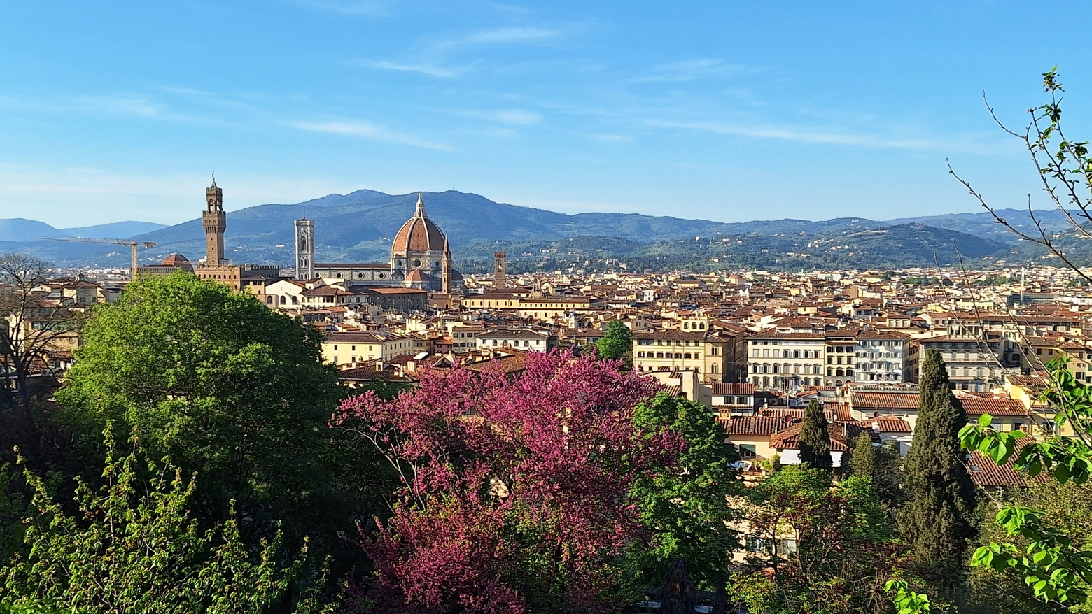 Panorama di Firenze da Villa Bardini