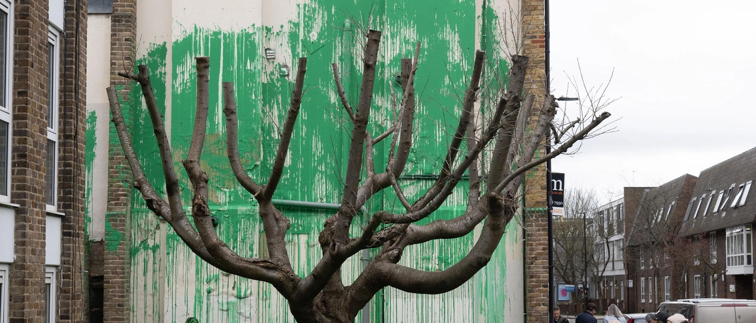 Un nuovo murale di Banksy compare a Londra, confermato dall'artista stesso su Instagram. Il dipinto raffigura una donna con un'idropulitrice che spruzza vernice verde su un edificio, creando un effetto visivo con un albero spoglio davanti. Residenti accorrono in massa per ammirare l'opera.