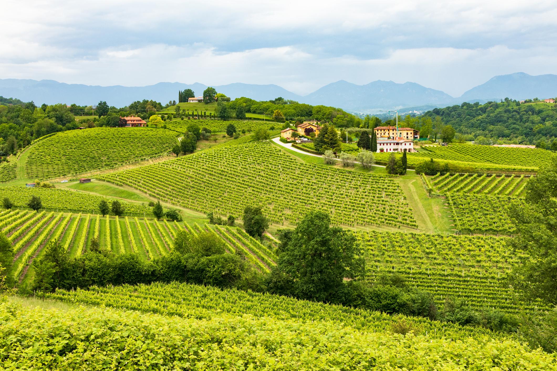 Turismo Dop: Veneto, Toscana, Emilia Romagna e Lombardia le destinazioni più gettonate Turismo Dop: Veneto, Toscana, Emilia Romagna e Lombardia le destinazioni più gettonate