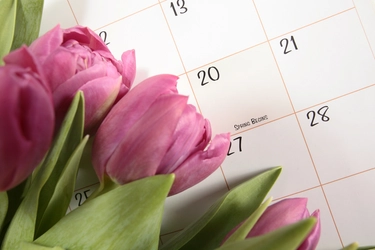 Equinozio di primavera: perché nel 2024 cade il 20 e non il 21 marzo