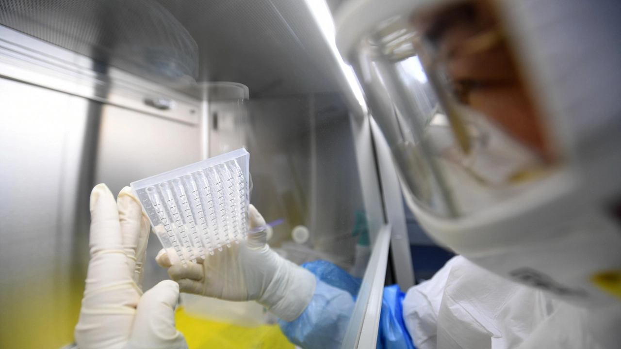 Analisi di laboratorio in Cina nel periodo della pandemia Covid (Epa/Ansa) Analisi di laboratorio in Cina nel periodo della pandemia Covid (Epa/Ansa)