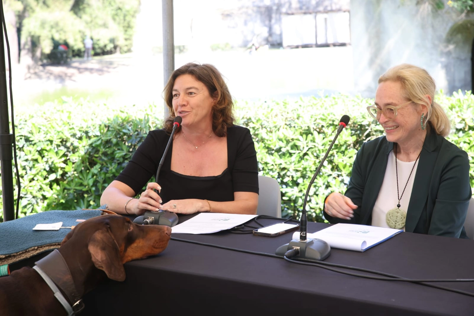 Premio Gist 2024, Alessandra Aspesi di QuattroZampeInFiera, Isabella Goldmann presidente del Gist Animal Travel Award