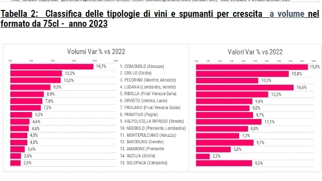 I risultati della ricerca ‘Circana per Vinitaly’ evidenzia i vini più venduti e di quelli “emergenti” nella Grande Distribuzione. I doc calano del 2,8%, le possibili strategie per il futuro