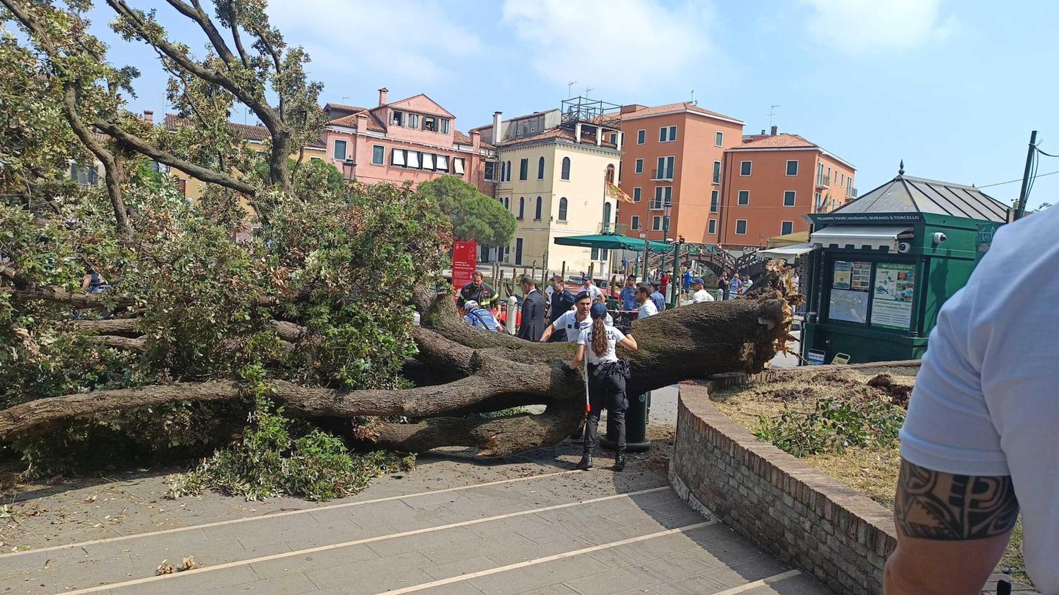 cade albero al terminal auto di venezia dieci feriti