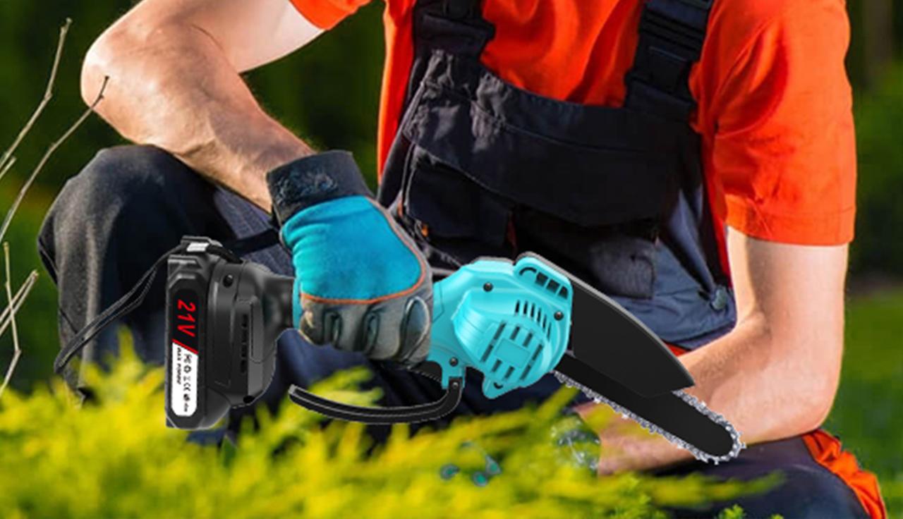 potente leggera e ricaricabile mini motosega da giardino in offerta 37 da Quotidiano.net potente leggera e ricaricabile mini motosega da giardino in offerta 37