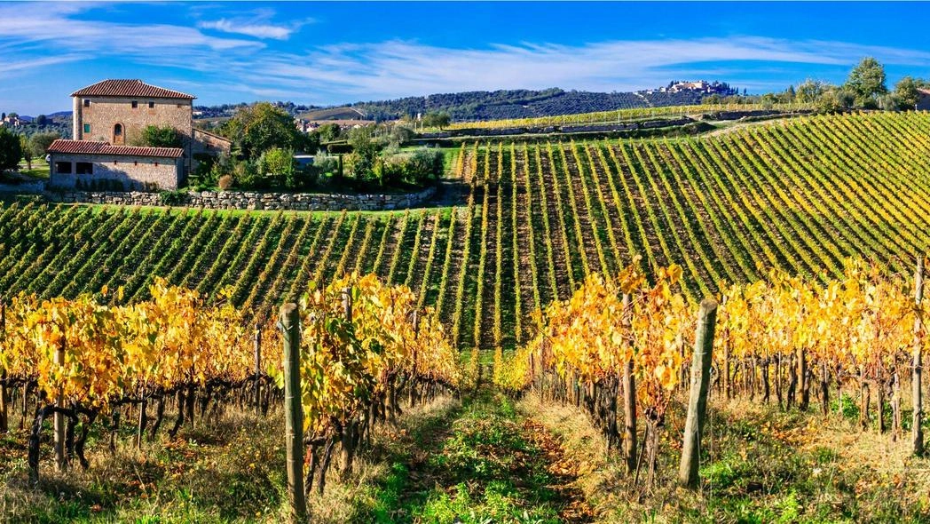 Territorio vinicolo del Chianti