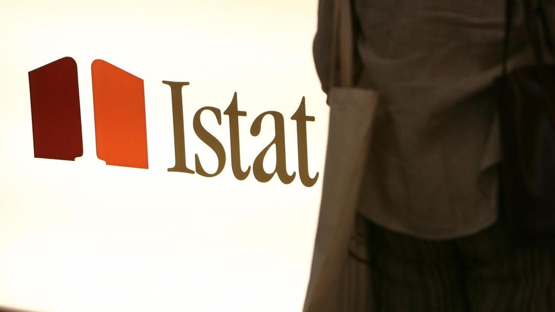 Imprese Istat 