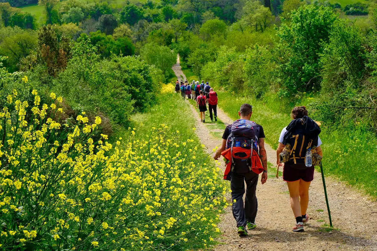 Primavera a piedi: i cammini da percorrere in questa stagione