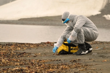 Aviaria, le esperte Usa: “Casi umani sottostimati, si rischia una grave pandemia”