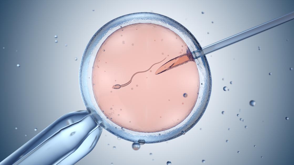 Procreazione assistita, la donna potrà chiedere l’impianto dell’embrione anche se non sta più con il partner