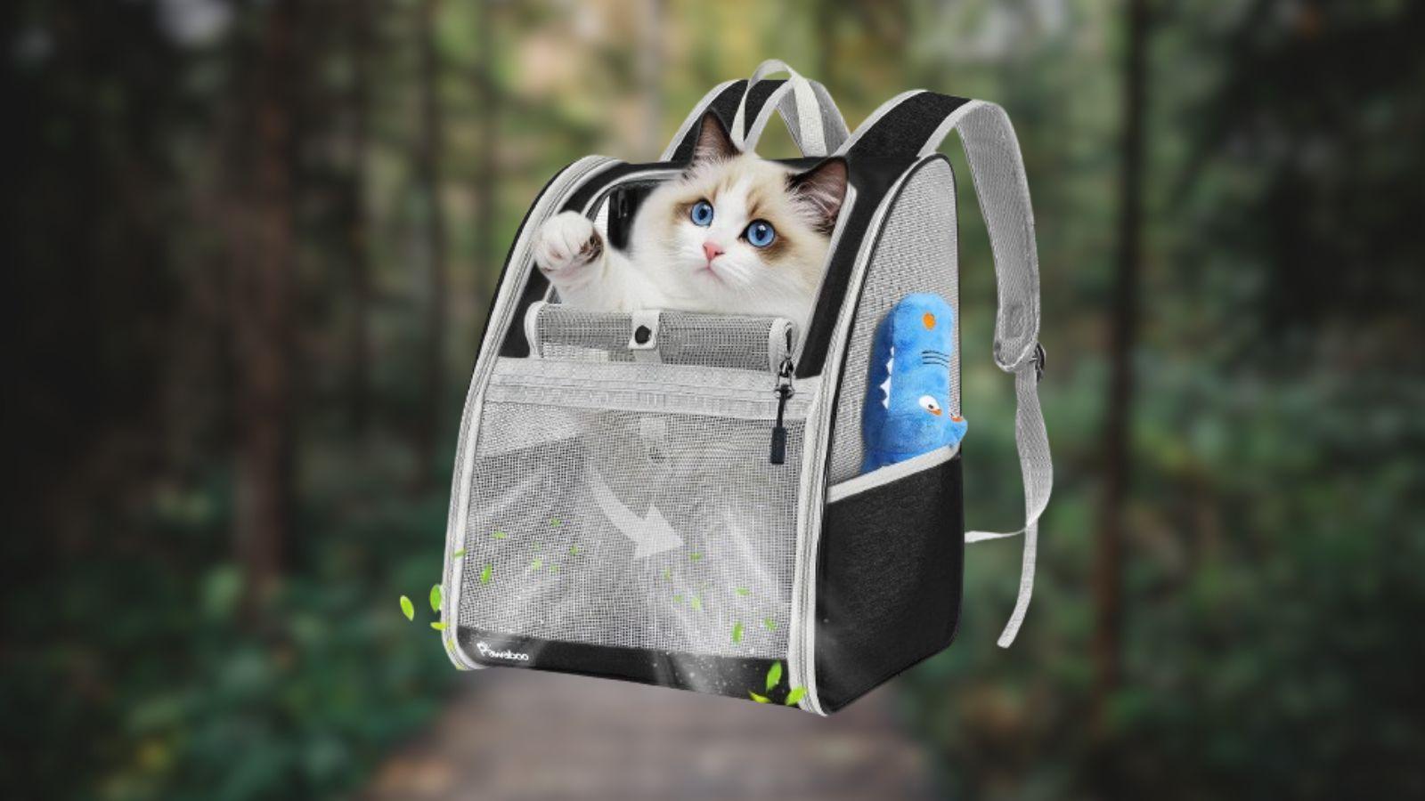 Porta spasso da Quotidiano.net porta a spasso i tuoi animali zaino per gatti e cani di piccola taglia in offerta lampo