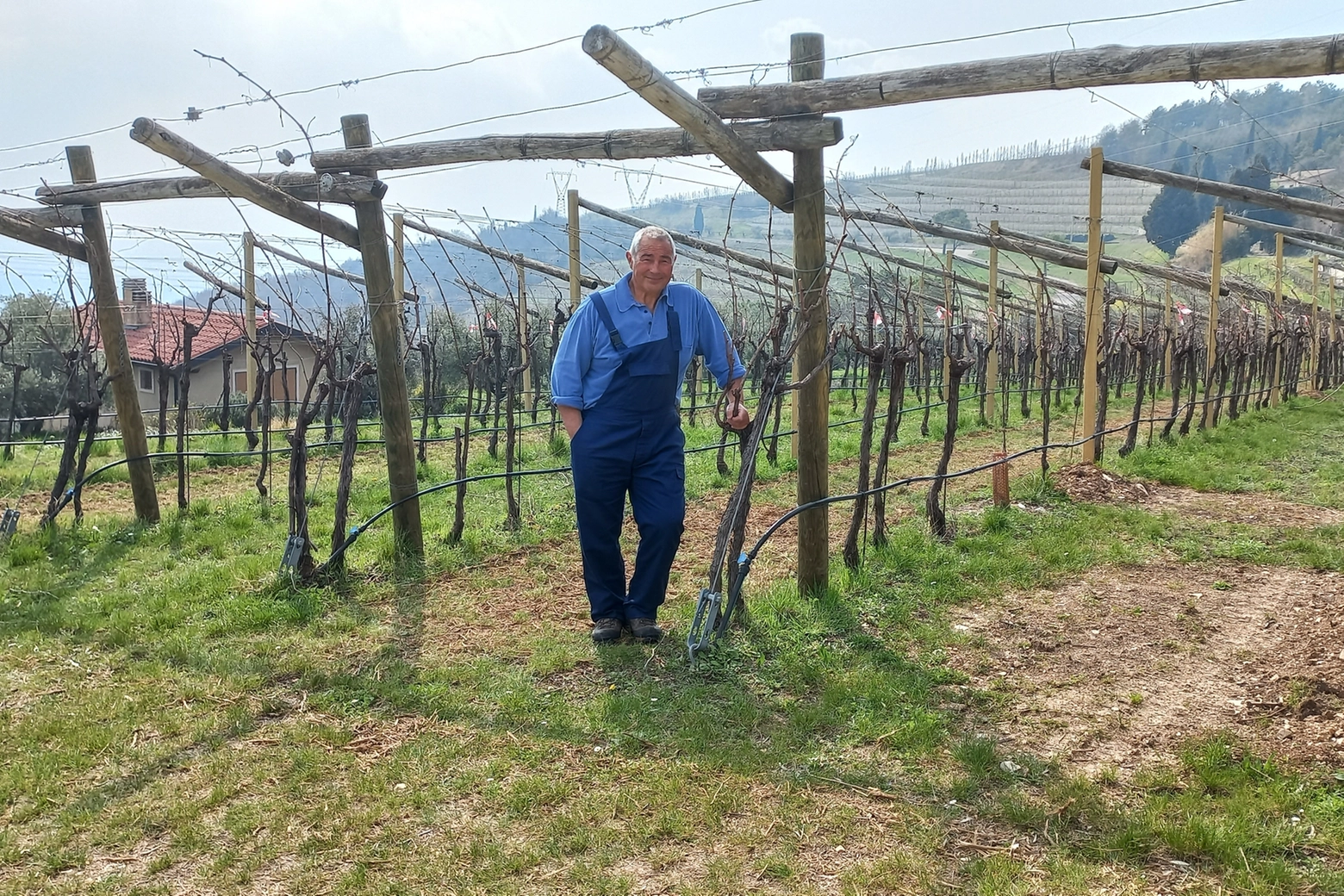Sergio Rama tra le sue vigne