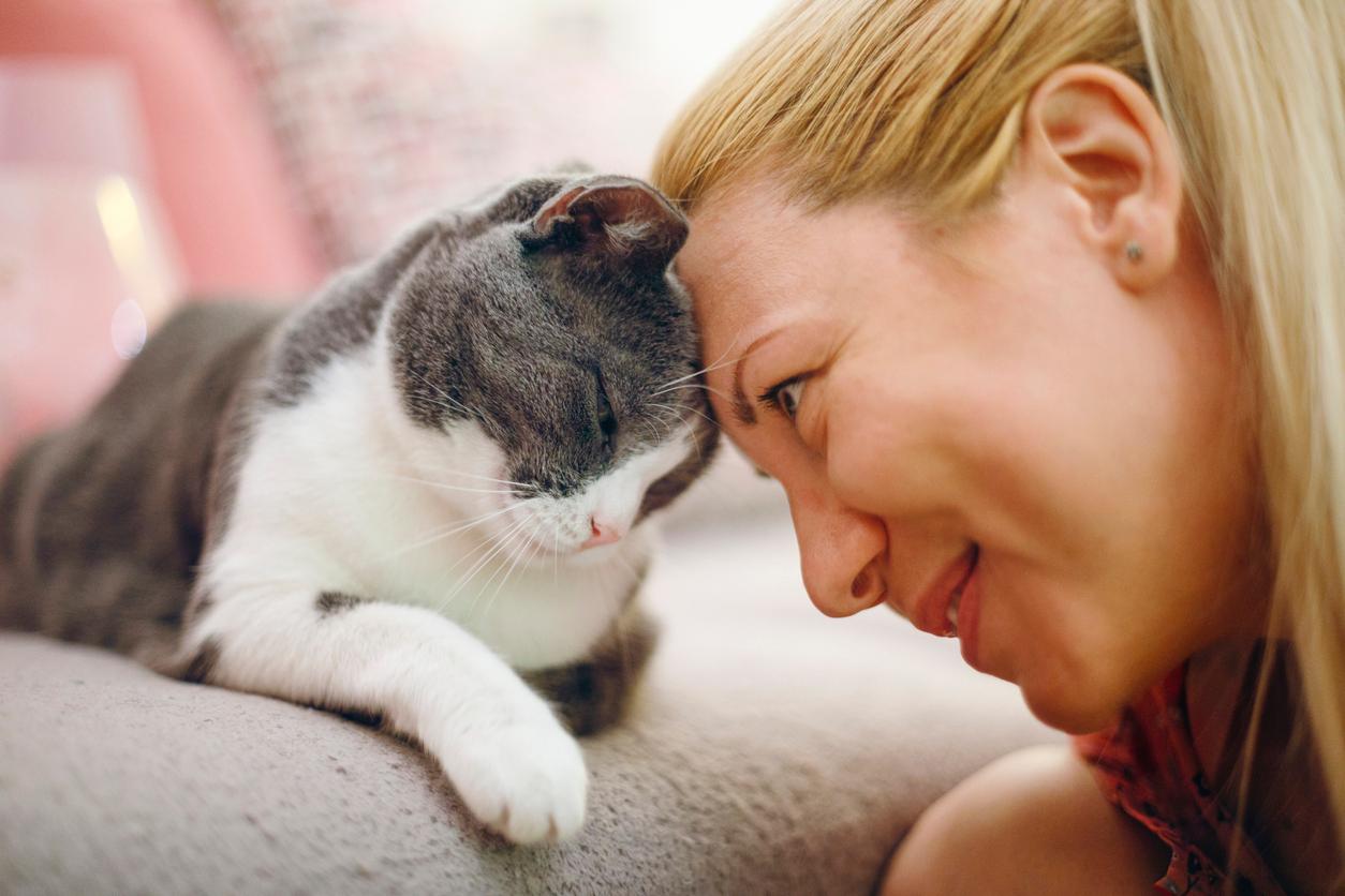 Il vostro gatto di sicuro vi riconosce, ma non solo dal viso Il vostro gatto di sicuro vi riconosce, ma non solo dal viso