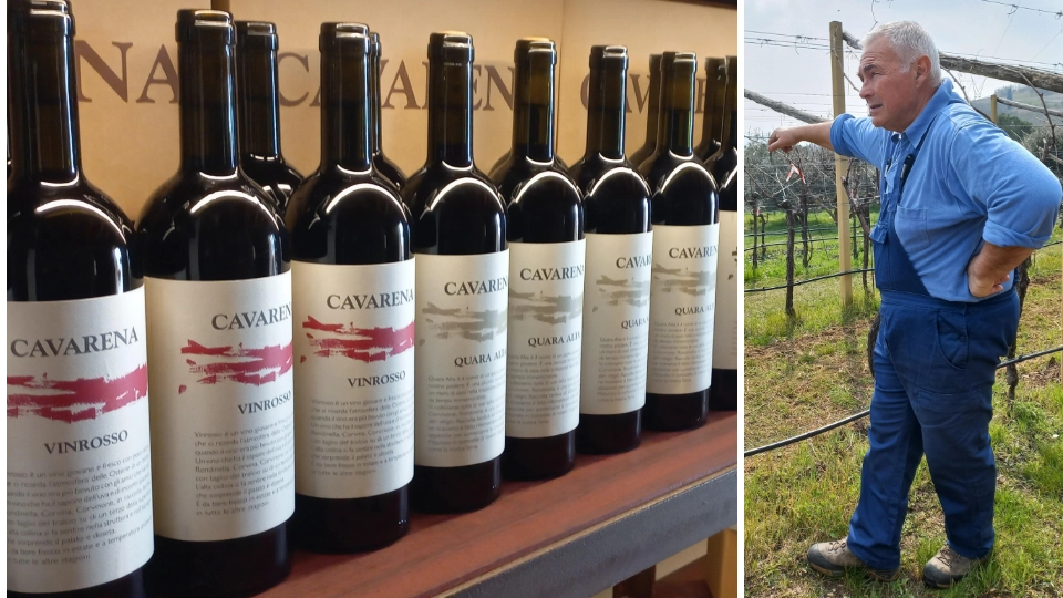 La sfida di Sergio Rama: vini di qualità in un’azienda di soli tre ettari e mezzo. “Si può stare in piedi anche con 8.000 bottiglie l’anno”