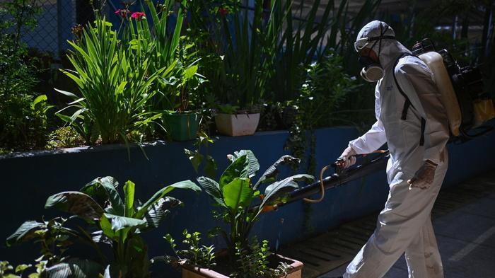 In Brasile verso 2 milioni casi Dengue, record in 24 anni