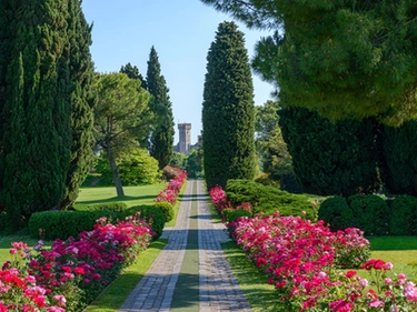 Parco Giardino Sigurtà, sul Garda è Tulipanomania