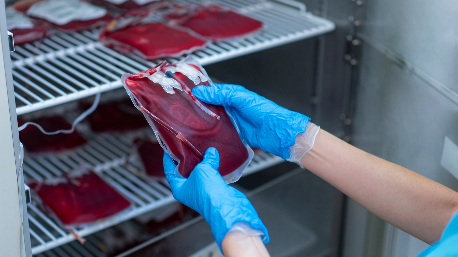 Trasfusioni di sangue illegali sui bambini al centro dell'inchiesta