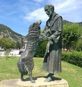 Basilica di Assisi, avvistato un lupo. Il Comune tranquillizza:: "Nessun rischio"