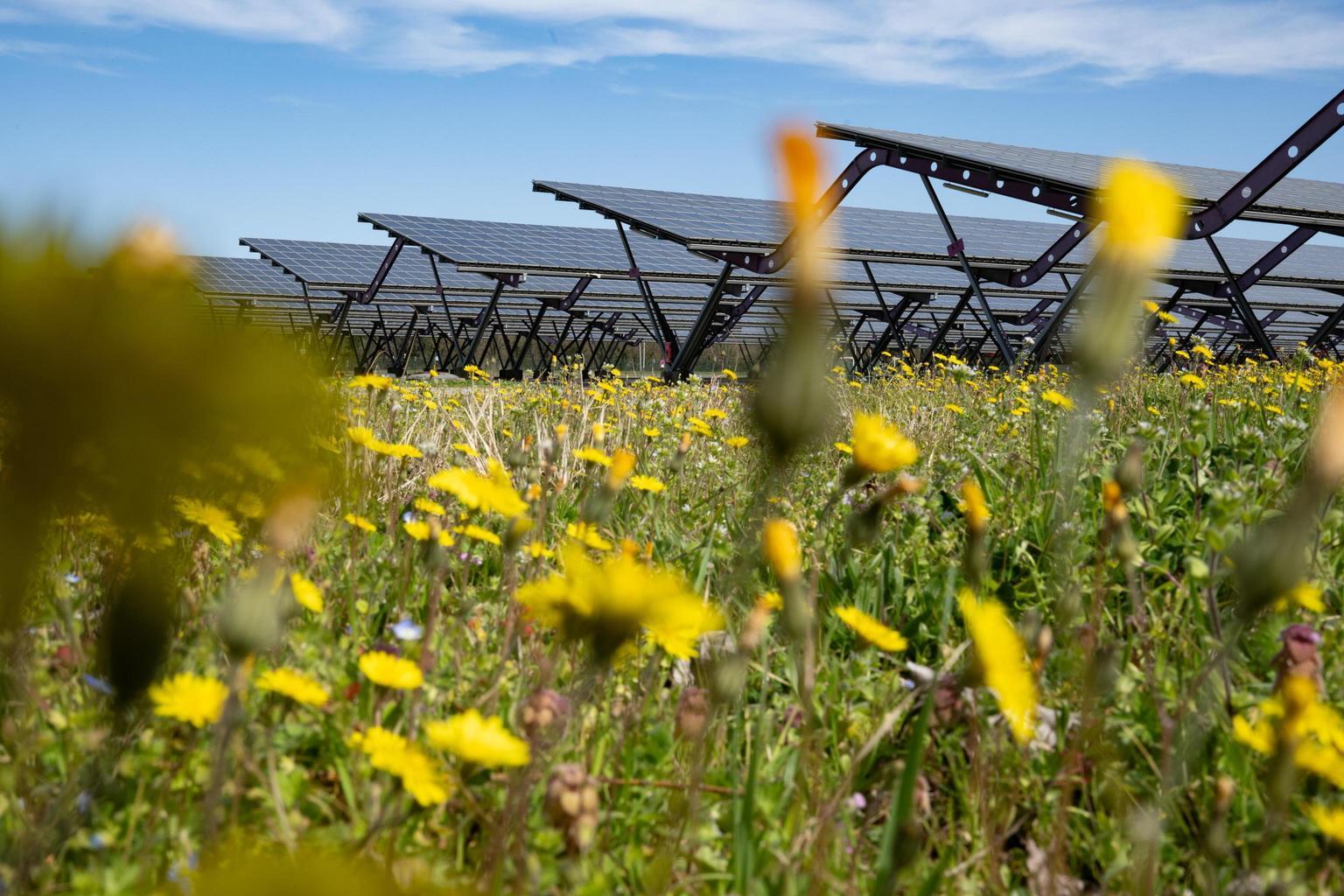 Italia: fabbisogno elettrico in calo, rinnovabili coprono il 56% a maggio Italia: fabbisogno elettrico in calo, rinnovabili coprono il 56% a maggio