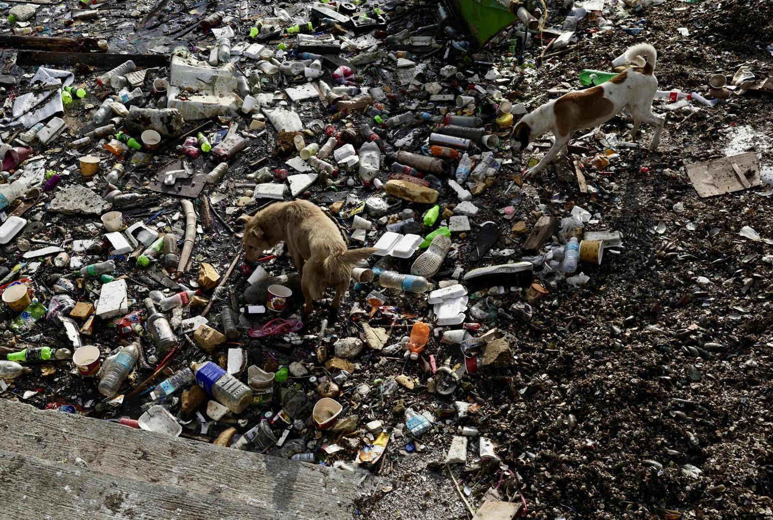 giornata mondiale dell ambiente l onu chiede azioni urgenti contro l inquinamento da plastica