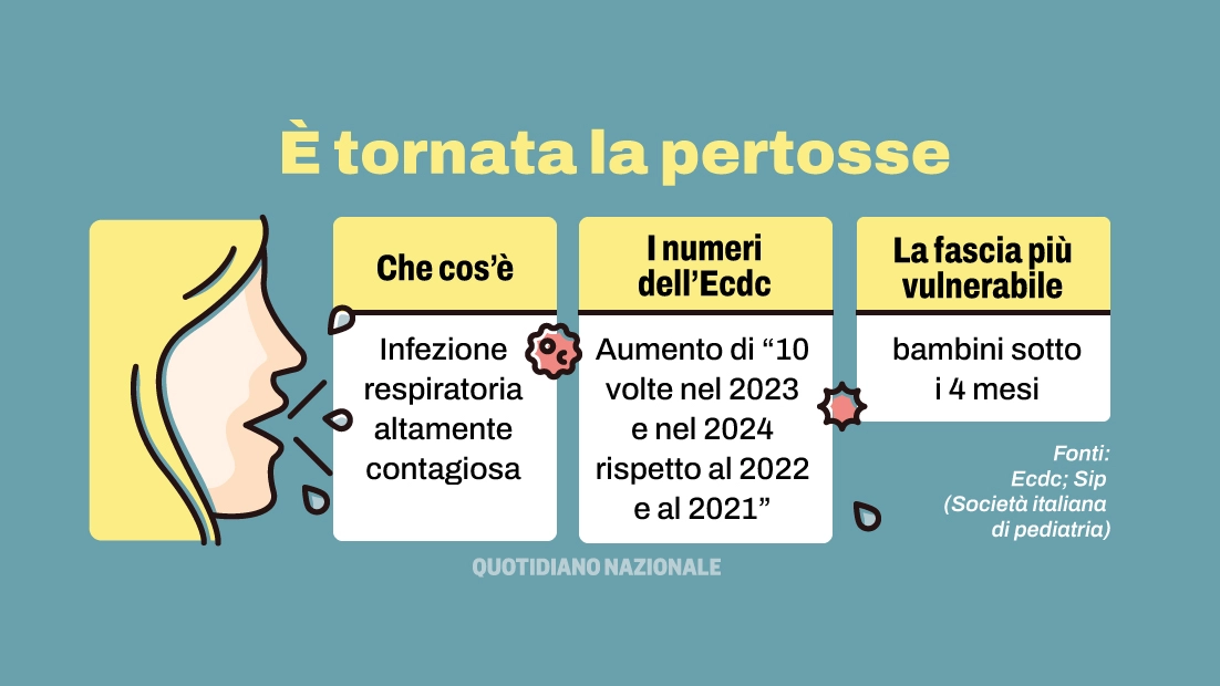 Annamaria Staiano, presidente Sip (Società italiana di pediatria): “Casi gravi anche in Sicilia. Occorre sensibilizzare i ginecologi sulla vaccinazione in gravidanza”