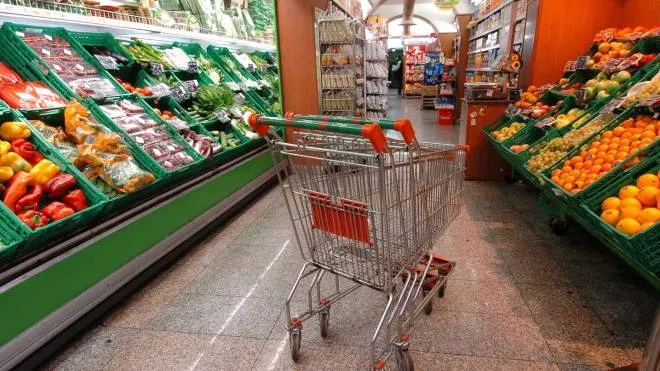 Un carrello vuoto in un supermercato.   ANSA/ARCHIVIO/MARIO DE RENZIS