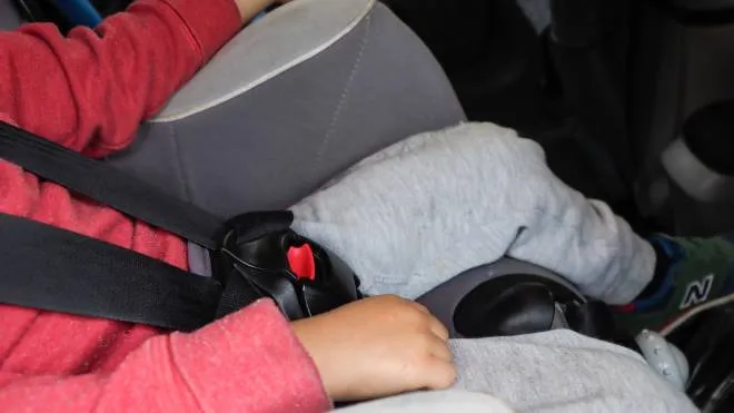 Rimini - generiche bimbo bambino su seggiolini auto dispositivo di ritenuta per bambini - seggiolini auto
08 Novembre 2019

Photo PETRANGELI