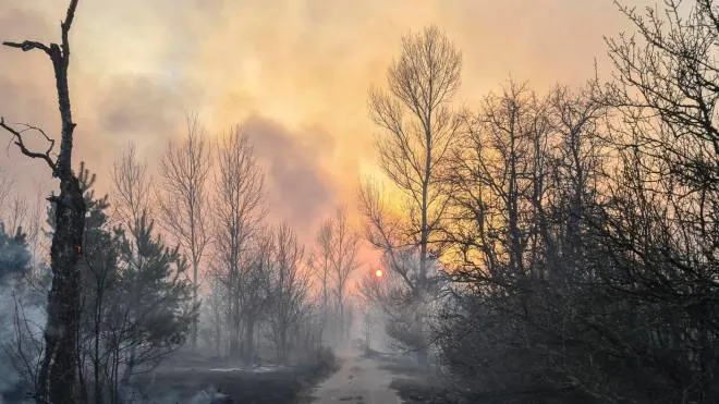 epaselect epa08348351 A forest fire burns near the village of Volodymyrivka, in the exclusion zone around the Chernobyl nuclear power plant, Ukraine, 05 April 2020 (issued 07 April 2020). Ukraine's State Emergency Service said firefighters and rescue teams continued to put out fires at two sites near Rahivka, adding that radiation levels in the capital, Kyiv (Kiev), and Kyiv region is within a normal range. The total area affected by the fire near Rahivka was reported to be five hectares. The Kyiv police said they have identified on 06 April 2020 a man who allegedly started a mass fire in the uninhabited exclusion zone around the decommissioned Chornobyl nuclear plant last week. The 27-year-old resident of the Rahivka village told investigators that he had set some garbage and grass on fire for fun. The territory is a long-vacated area near where an explosion at the Chernobyl Soviet nuclear plant in April 1986 sent a plume of radioactive fallout high into the air and across swaths of Europe.  EPA/YAROSLAV YEMELIANENKO