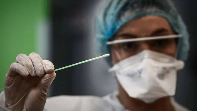 A medical personnel holds a swab used for new rapid-result Covid-19 antigen test at the Saint-Andre hostpital in Bordeaux on October 20, 2020. (Photo by Philippe LOPEZ / AFP)