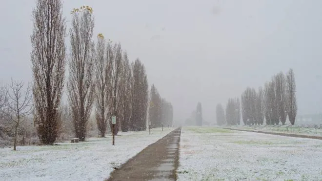 Prima neve dell'anno sulla città di Milano, Parco della Vettabbia, Milano,  2 Dicembre, 2020,  ANSA/Andrea Fasani
