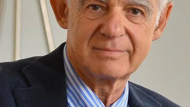 Luca Ricolfi è nato a Torino nel 1950