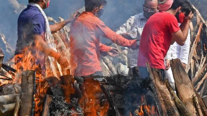 Disperazione a Nuova Delhi, capitale dell’India, dove i corpi vengono cremati i strada