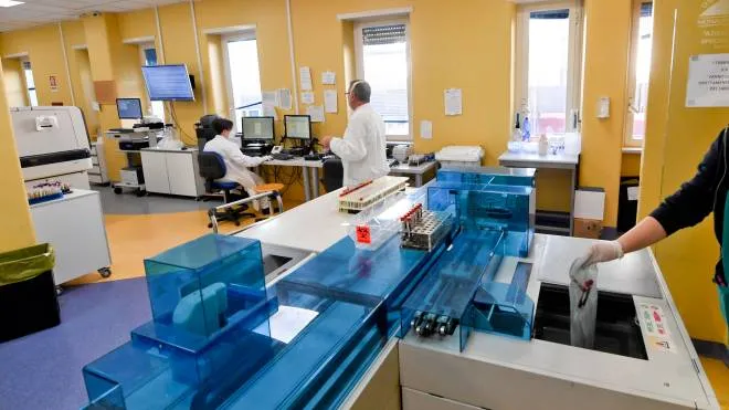 Operators at work with test tubes and tests for Covid -19 in the laboratory of the clinical biochemistry and microbiology department of the Colli Hospital in Naples, which includes Monaldi and Cotugno, 16 February 2021
 ANSA / CIRO FUSCO