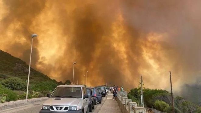 Quasi 400 persone evacuate per tutta la notte, abitazioni danneggiate, un centinaio di ettari di territorio divorati dal fuoco. Non sono ancora stati domati gli incendi che hanno messo in ginocchio l'area del Montiferru, nell'Oristanese, 25 luglio 2021.
ANSA/FABRIZIO FOIS