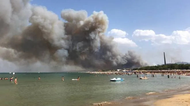 La nuvola di fumo sprigionata dall’incendio che domenica scorsa ha devastato la pineta dannunziana di Pescara