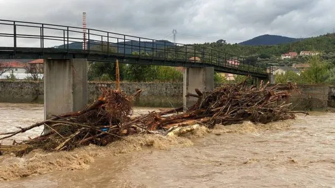 I detriti portati a valle nel fiume Quiliano, parzialmente esondato nella zona dei Tecci, a causa del maltempo nel Savonese, 4 ottobre 2021. ANSA/ ANDREA CHIOVELLI
