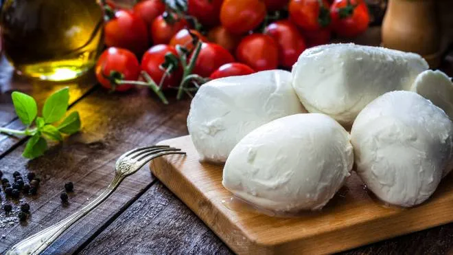 Mozzarella cheese on a cutting board shot on rustic wooden table. On the table all around the board are ingredients for preparing Caprese salad like tomatoes, olive oil, basil, pepper and salt. Low key DSRL studio photo taken with Canon EOS 5D Mk II and Canon EF 100mm f/2.8L Macro IS USM