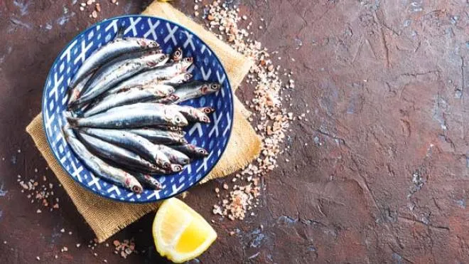 Il pesce azzurro come alici e sardine è tipico del Mediterraneo