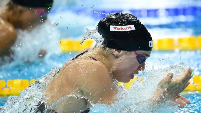 epa10032291 Benedetta Pilato of Italy competes in the women's 50m Breaststroke semi finals of the Swimming events at the 19th FINA World Aquatics Championships at Duna Arena in Budapest, Hungary, 24 June 2022.  EPA/Tamas Kovacs HUNGARY OUT