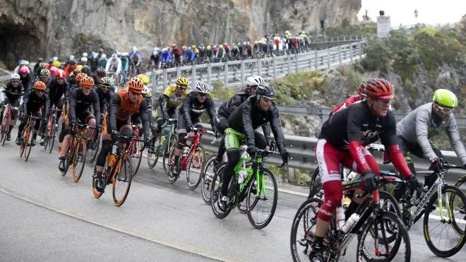 The Peloton rides during the 2015 'Milano-SanRemo' cycle race on March 22, 2015 in Milan, Italy. ANSA/CLAUDIO PERI