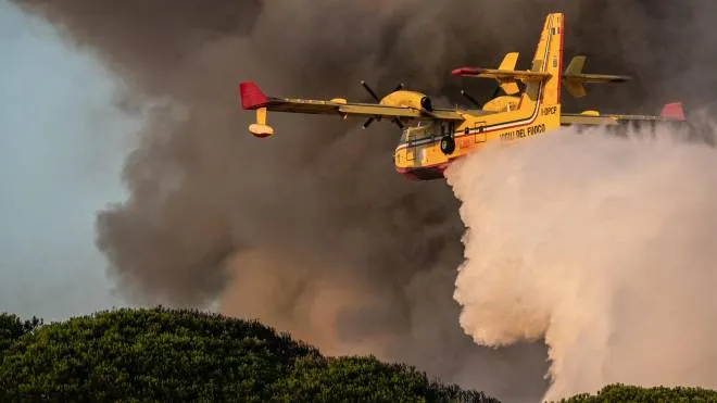 Canadair in azione per spegnere l'incendio divampato nella zona di Castel Fusano, area sud di Roma, 22 luglio 2022. ANSA / Emanuele Valeri