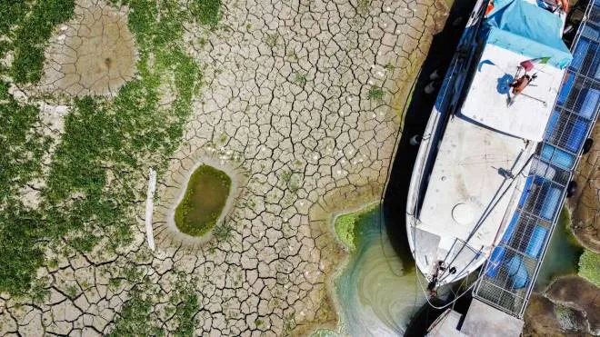 The dramatic situation of drought with the river Po dry between the provinces of Parma and Reggio Emilia, northern Italy, 17 July 2022.
ANSA/ANDREA FASANI