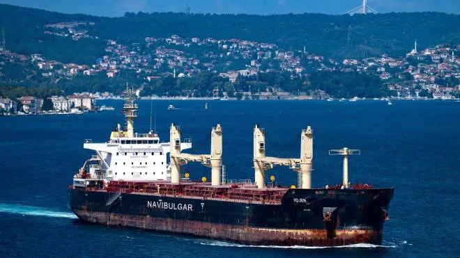 Malta-flagged bulk carrier M/V Rojen carrying tons of grain from Ukraine sails along the Bosphorus Strait in Istanbul on August 7, 2022, after being officially inspected. - Ukraine and Russia signed a landmark deal with Turkey and the United Nations aimed at relieving the global food crisis. (Photo by Yasin AKGUL / AFP)