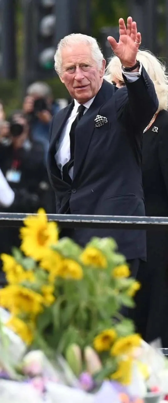 Sostegno Carlo III fa il suo ingresso a Buckingham Palace salutando i sudditi