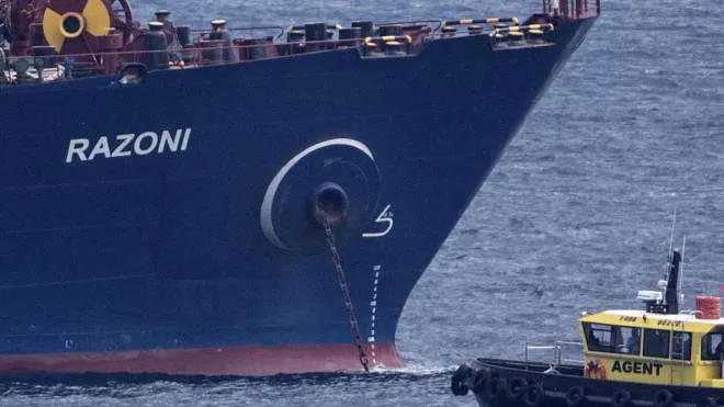 L’ispezione, nel porto di Istanbul, di una nave che trasporta grano dall’Ucraina
