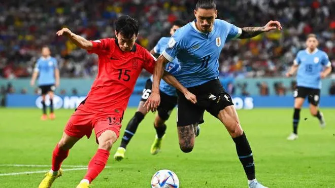 epa10325143 Kim Moon-hwan (L) of South Korea in action against Darwin Nunez (R) of Uruguay during the FIFA World Cup 2022 group H soccer match between Uruguay and South Korea at Education City Stadium in Doha, Qatar, 24 November 2022.  EPA/Neil Hall