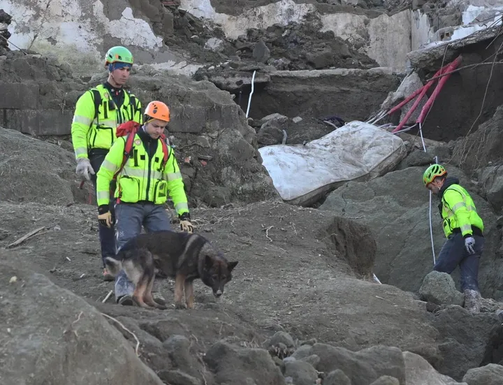 Gli operatori cercano i dispersi nel fango con l’aiuto dei cani