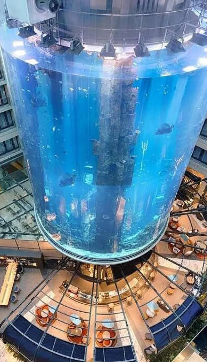 L’AquaDom di Berlino, il più grande acquario cilindirco al mondo