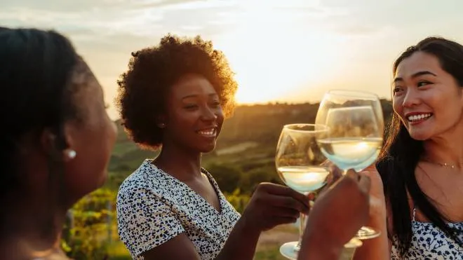 Three diverse friends are toasting with a glass of white wine. They are celebrating together.