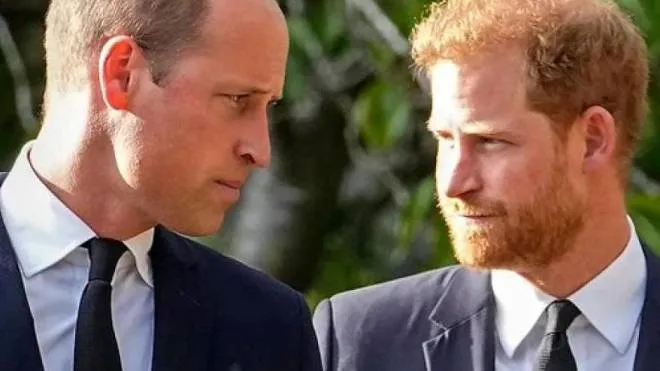 William, 40 anni, erede al trono d’Inghilterra, e il fratello Harry, 38, secondogenito di Carlo e Diana